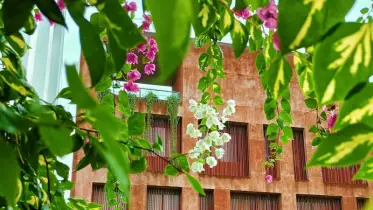 জলকণায় জেগে ওঠা বিশ্ববিদ্যালয়ের আরেক রূপ