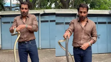 সোনু সুদ আবারও প্রমাণ করলেন সাহসের অদ্বিতীয় উদাহরণ—সাপ উদ্ধার করলেন