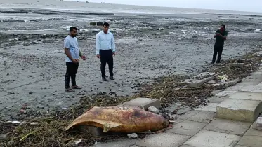কুয়াকাটা সৈকতে ভেসে এলো আট ফুট লম্বা মৃত ডলফিন