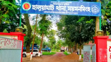 হালুয়াঘাটে বিদ্যুৎস্পৃষ্ট হয়ে জেলের মৃত্যু