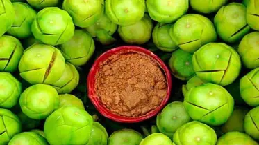 আমড়া খাওয়ার ১০ উপকার