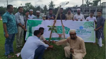 পিরোজপুরে ছাত্রশিবিরের চারা বিতরণ ও বৃক্ষরোপণ কর্মসূচি