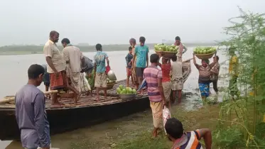 লালপুরে ইজারা ছাড়াই খেয়া ঘাটের টোল আদায়, রাজস্ব হারাচ্ছে সরকার