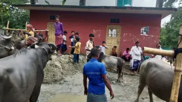 উন্মুক্ত হোক দু’বছর যাবত তালাবদ্ধ সরাইল গরু-মহিষের হাঁটের পাবলিক টয়লেট