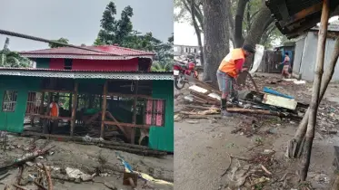 চরফ্যাশনে ৩০০ বসতবাড়ি বিধ্বস্ত, হদিস নেই ৭০০ গবাদি পশুর