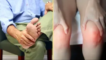 শরীর থেকে ইউরিক অ্যাসিড বের করার ৬টি সহজ উপায়