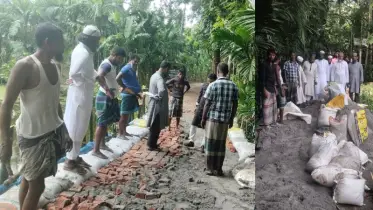 জামায়াতে ইসলামীর উদ্যেগে ভোলার ভেদুরিয়া ইউনিয়নে রাস্তা মেরামত