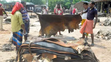 সিন্ডিকেটের কবলে রাজারহাটের চামড়া বাজার, লোকসানে ক্ষুদ্র ও মৌসুমী ব্যবসায়ীরা