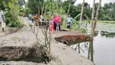 চারঘাটের নন্দনগাছী-বানেশ্বর সড়কে ভাঙন: জনদুর্ভোগ চরমে, দ্রুত সমাধানের দাবি