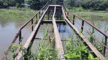 নাজিরপুরে লোহার পুল নয়, যেন মরণ ফাঁদ 
