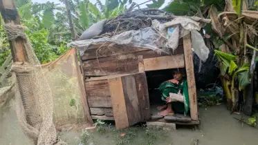 বৃদ্ধা মাকে মুরগীর খোপে আশ্রয় দিয়েছেন সন্তানরা!
