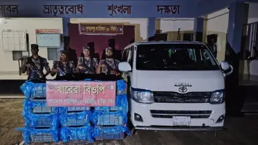 ব্রাহ্মণবাড়িয়ার কসবায় ভারতে পাচারের সময় ৫০০ কেজি শিং মাছ জব্দ