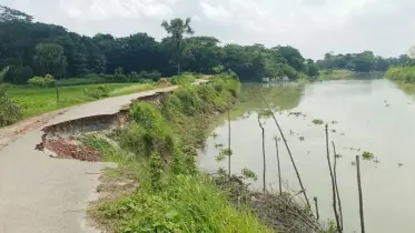 নদী থেকে অবাধে বালু উত্তোলন করায় বিলিনের পথে কালকিনি-ফাঁসিয়াতলা সড়ক