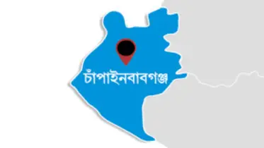 চাঁপাইনবাবগঞ্জে লাঠিয়াল বাহিনীর প্রধানসহ আওয়ামী লীগের ১৩ নেতা-কর্মী গ্রেপ্তার