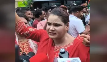 বিএনপি কখনও অন্যায় করে না, অন্যায় করতে পারে না