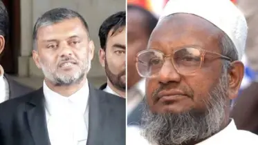 ‘কাদের মোল্লাকে সংক্ষিপ্ত রায়ে ফাঁসি দেওয়া হয়’