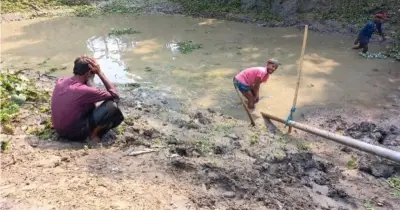 মাছের কি দোষ?