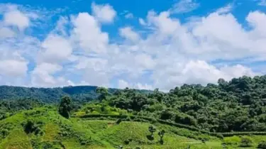 সীমান্তে ফের স্থলমাইন বিস্ফোরণে যুবকের পা বিচ্ছিন্ন