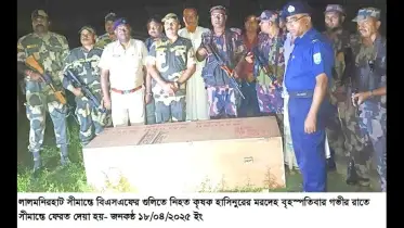 ঘাস কাটতে গিয়ে বিএসএফের গুলিতে বাংলাদেশি কৃষক নিহত