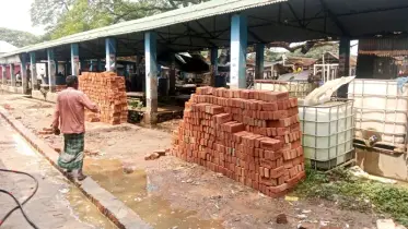 কোটি টাকা মূল্যের খাস জমিতে পাকা স্থাপনার অনুমতি দিলেন ইউপি চেয়ারম্যান
