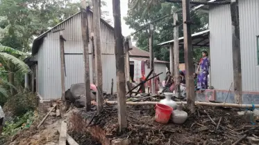 নবাবগঞ্জে গোয়াল ঘরে আগুন লেগে দুটি গরুসহ ঘর পুড়ে গেছে 