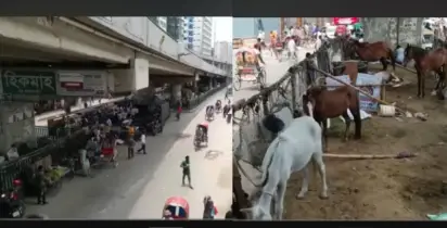 উড়ালসড়কের নিচে পড়ে আছে ২০৭ একর জমি, ক্ষতি ২১ হাজার কোটি টাকা