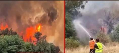 দেড় শতাধিক টিম নিয়েও দাবানলের আগুন ঠেকাতে পারছে না ইসরায়েল