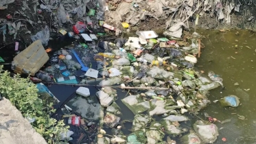 রামগতিতে খাল দূষণে হুমকির মুখে জনস্বাস্থ্য ও পরিবেশ