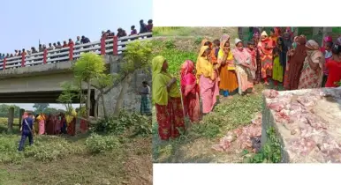 ব্রিজের নিচ থেকে পরিত্যক্ত অবস্থায় ৮৪ প্যাকেট মাংস উদ্ধার