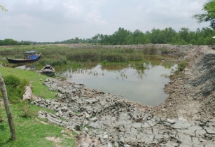 বন কর্মকর্তাদের যোগসাজশে বনাঞ্চল উজাড় করে মাছের ঘের