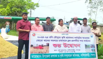 নালিতাবাড়ীতে সমলয় পদ্ধতিতে উৎপাদিত বোরো ধান কর্তন