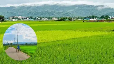 খাগড়াছড়ির নিউজিল্যান্ডে যেতে লাগবেনা ভিসা-পাসপোর্ট