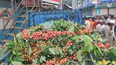 বিজয়নগরে বিক্রি হচ্ছে কোটি টাকার লিচু