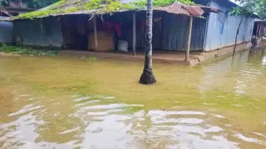 হালুয়াঘাটে টানা বৃষ্টিতে বিপর্যস্ত জনজীবন