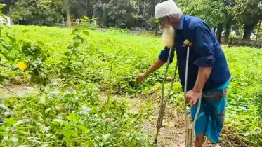 ২০ বছর ধরে স্ত্রীর কবরের পাশে রাত কাটাচ্ছেন রাজশাহীর শাহজাহান মিয়া