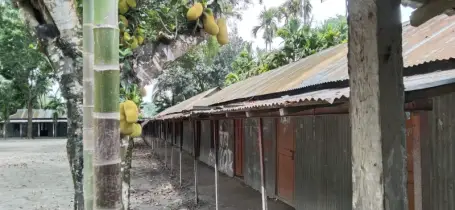 ৫০ বছরেও উন্নয়নের ছোঁয়া লাগেনি বদরপুর দাখিল মাদরাসায়, মানসম্মত ভবনের দাবি শিক্ষক-শিক্ষার্থীদের