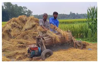 বাগমারায় বোরো ধান কাটা-মাড়াইয়ে ব্যস্ত কৃষকরা