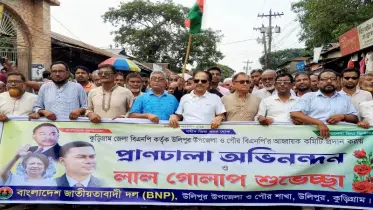 উলিপুরে বিএনপির আনন্দ মিছিল