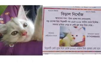 হারিয়ে গেছে ‘সিম্বা’, বিড়ালের খোঁজে চোখে জল নিয়ে পোস্টার সাঁটালেন মারি