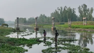 কাউনিয়ায় সেতুর অভাবে দুর্ভোগে ছয় গ্রামের মানুষ