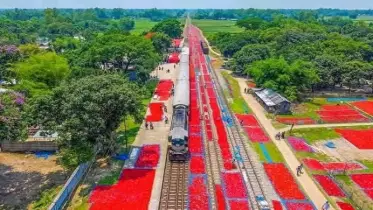 ঠাকুরগাঁওয়ের রুহিয়ায় রেললাইন নয়, যেনো লাল গালিচা