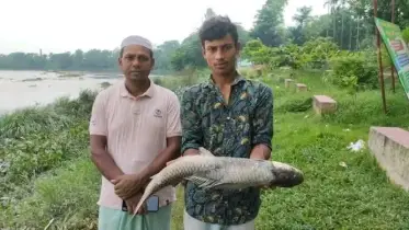 একটি ছবি, একটি সতর্কবার্তা: হুমকির মুখে হালদা নদী