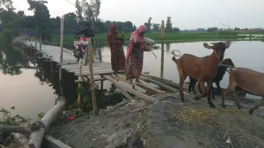 সাঁকো ভাঙে বারবার, ব্রিজ আসে না একবার