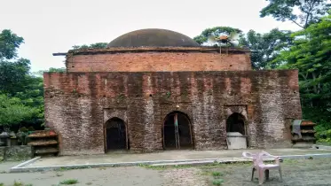সৌন্দর্য হারাচ্ছে মির্জাগঞ্জের ঐতিহ্যবাহী শাহী মসজিদ 
