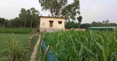 ভাঙ্গুড়ায় কমিউনিটি ক্লিনিক প্রতিষ্ঠার একযুগেও সংযোগ রাস্তা নির্মাণ হয়ন