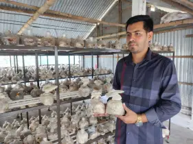 আখাউড়ায় মাশরুম চাষে তরুণ উদ্যোক্তা - ফয়জুল গনী