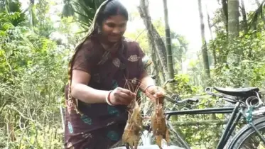 মিঠা পানির পুকুরে গলদা চিংড়ি চাষে সাফল্য, খুলছে সম্ভাবনার নতুন দুয়ার