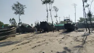 কুতুবদিয়ায় ঝাউবন নিধন, সাগরে ফেলা হচ্ছে বর্জ্য