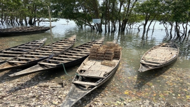 সুন্দরবনে তিন মাসের নিষেধাজ্ঞা শুরু: দুর্বিষহ জীবনে জেলে–বাওয়ালিরা