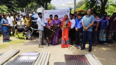 ক্ষুদ্র নৃগোষ্ঠীর জন্য বড় সহায়তা: বদলগাছীতে বিতরণ হলো বকনা বাছুর